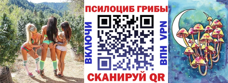 наркота  Чапаевск  Псилоцибиновые грибы MAGIC MUSHROOMS 