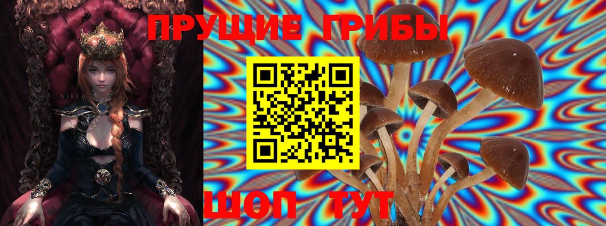 Чапаевск  Галлюциногенные грибы MAGIC MUSHROOMS  Вход с VPN 
