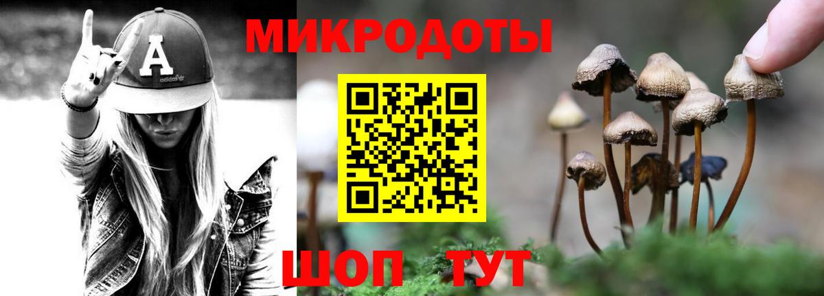 Псилоцибиновые грибы Psilocybe Чапаевск